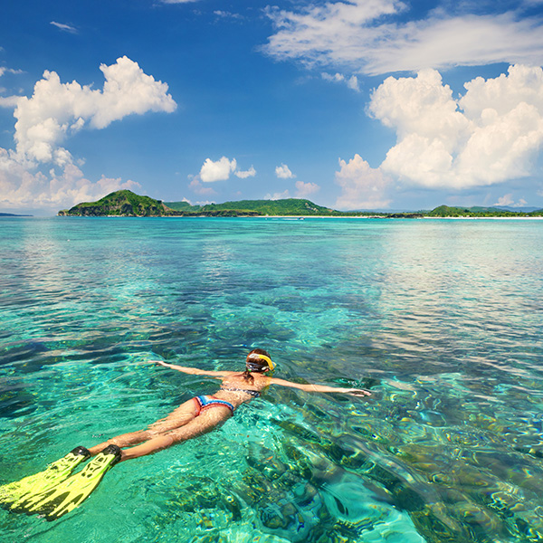 Plongée sous marine martinique tarif