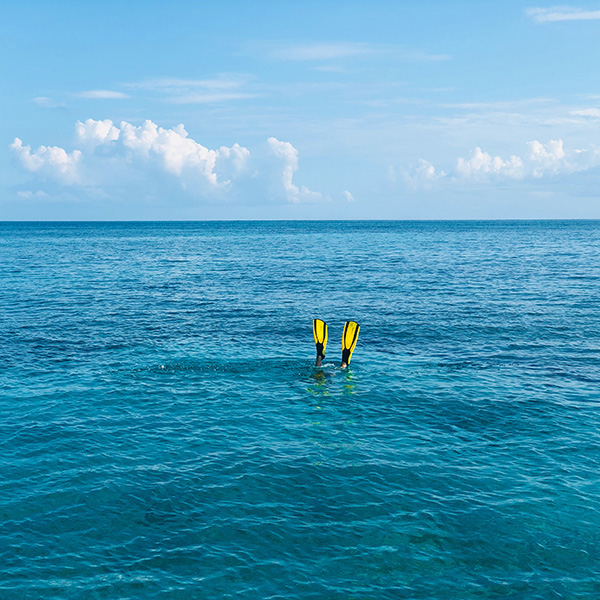 Faire de la plongée en martinique