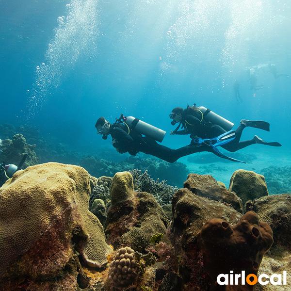 Plongée sous marine martinique tarif