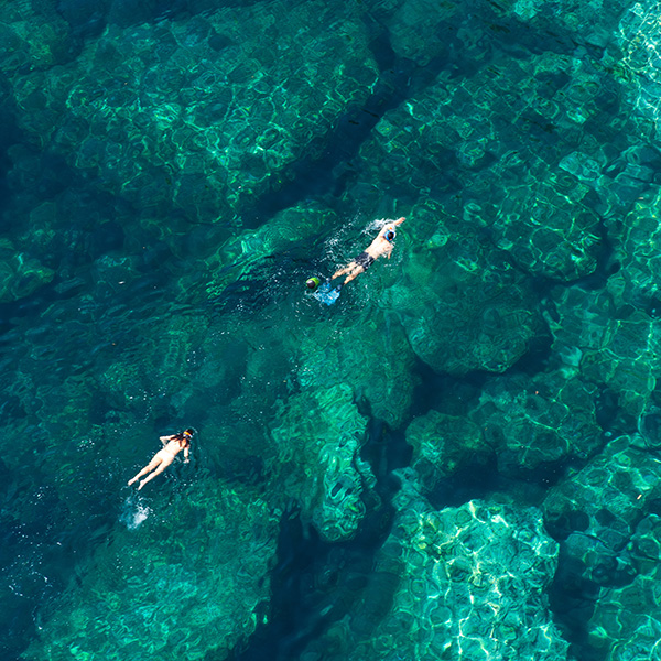 Plongée sous marine martinique