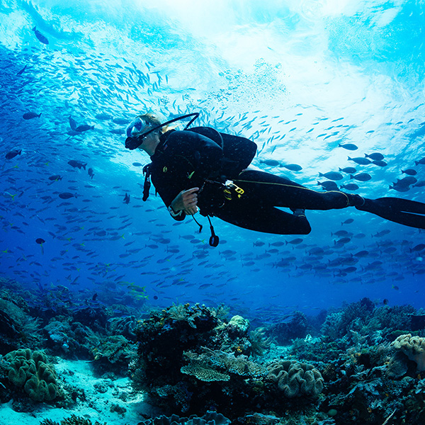 Les plus beaux sites de plongée en martinique