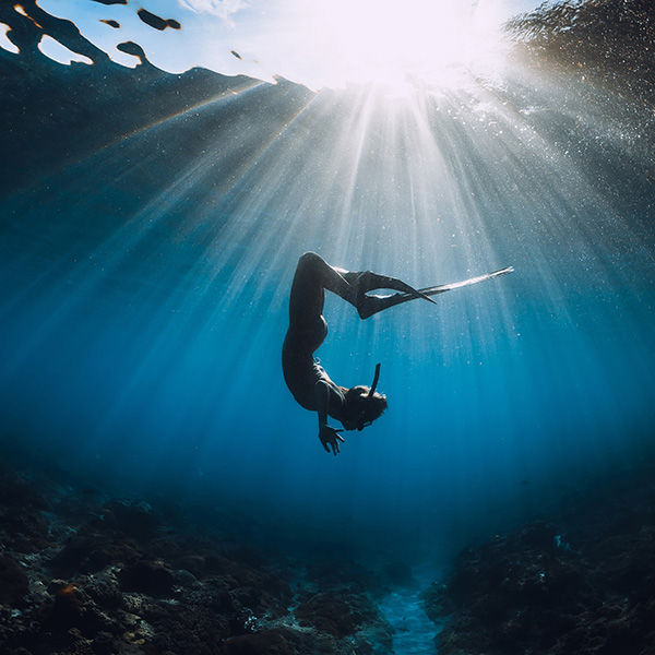 Plongée sous marine martinique