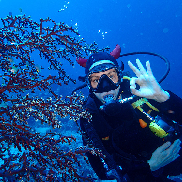 Plongée sous marine martinique tarif