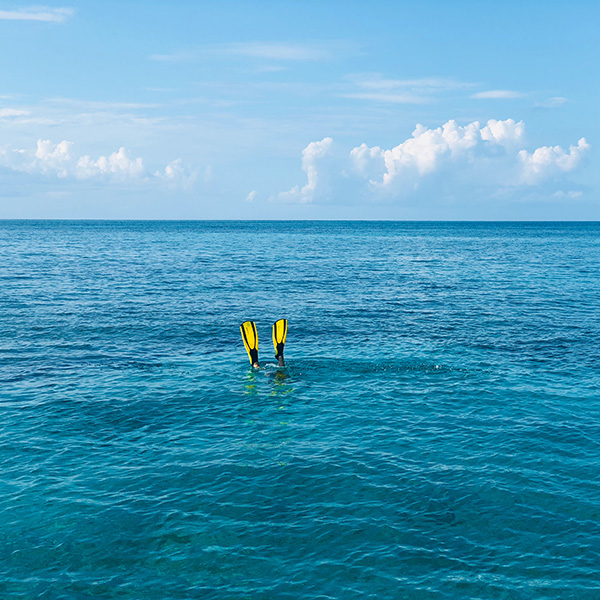 Plongée sous marine martinique tarif