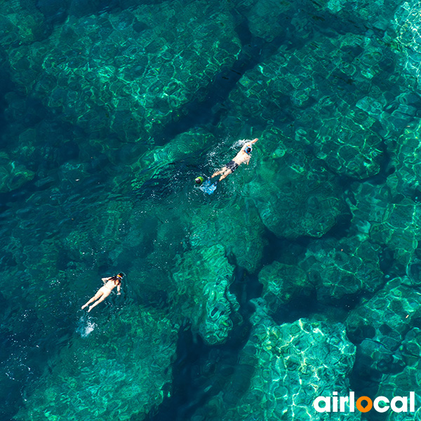 Niveau 1 plongée martinique