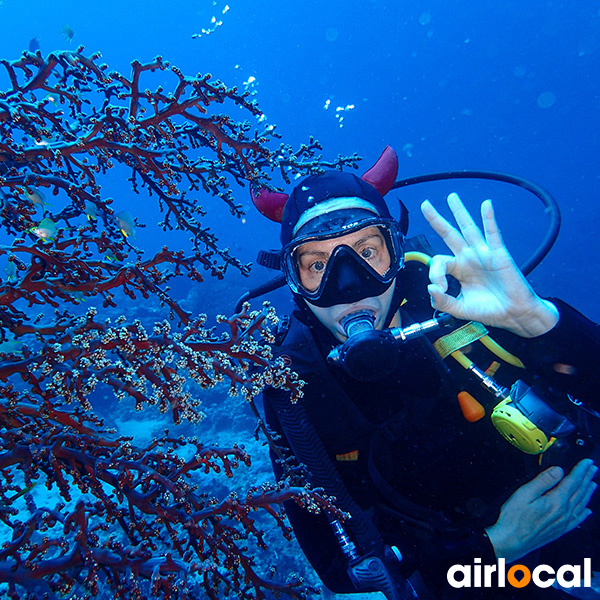 Plongée sous marine martinique tarif