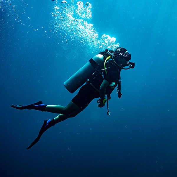 Plongée sous marine martinique tarif