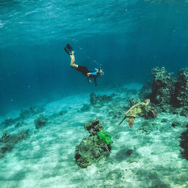 Voyage plongée martinique