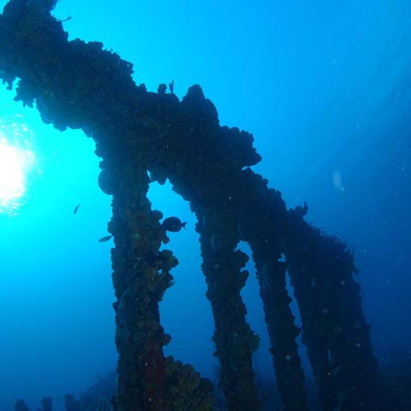 Spot snorkeling martinique