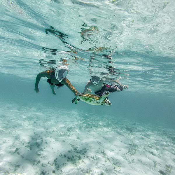 Spot snorkeling martinique