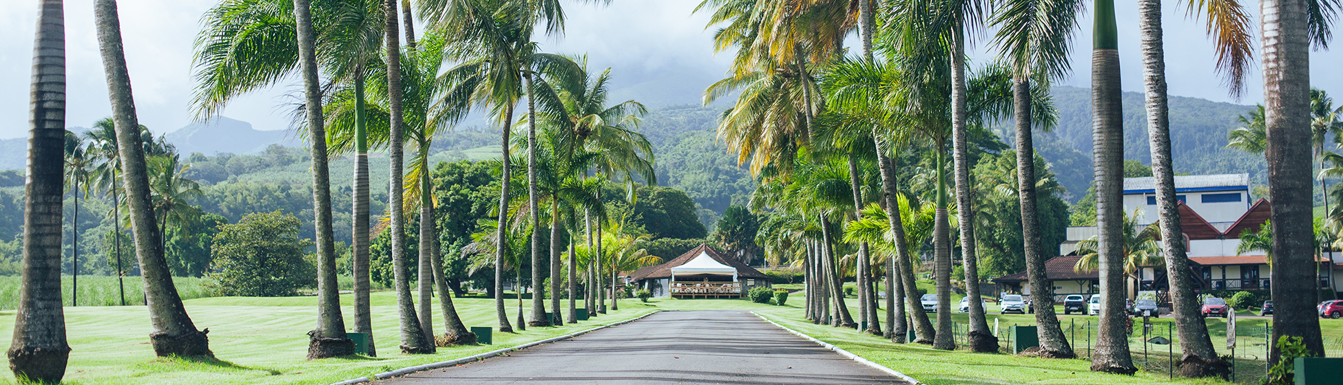 Sejour martinique demi pension location voiture