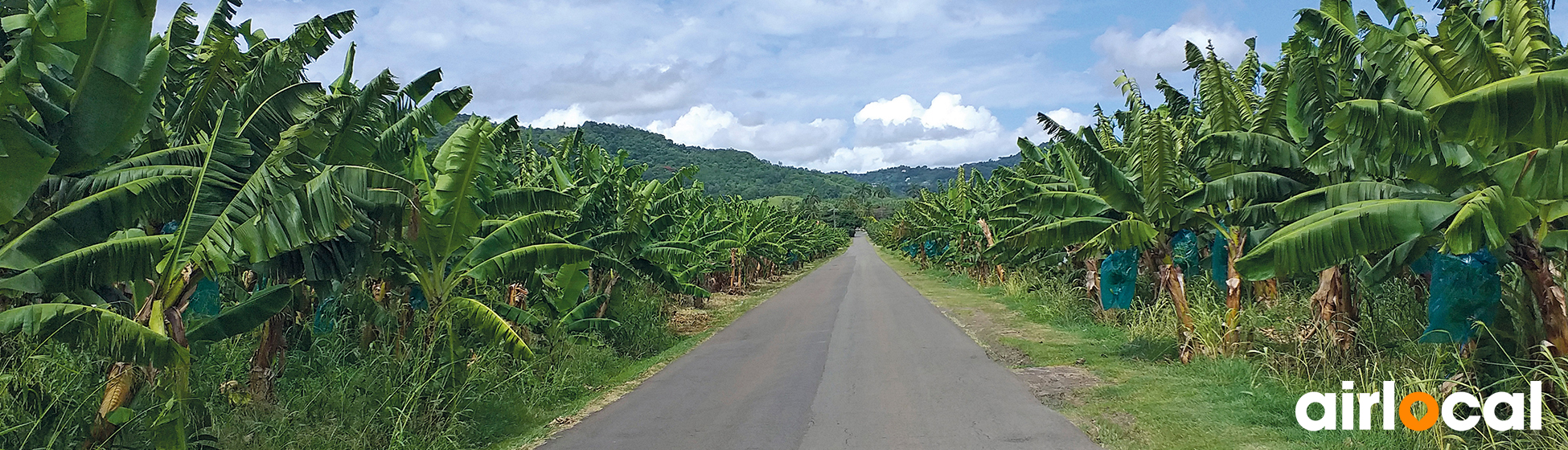 Location voiture martinique agence locale