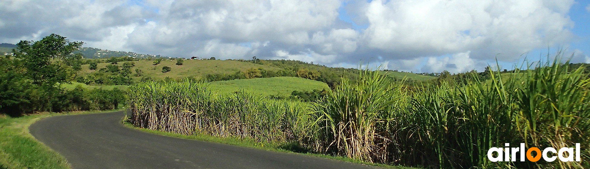 Voiture de location martinique