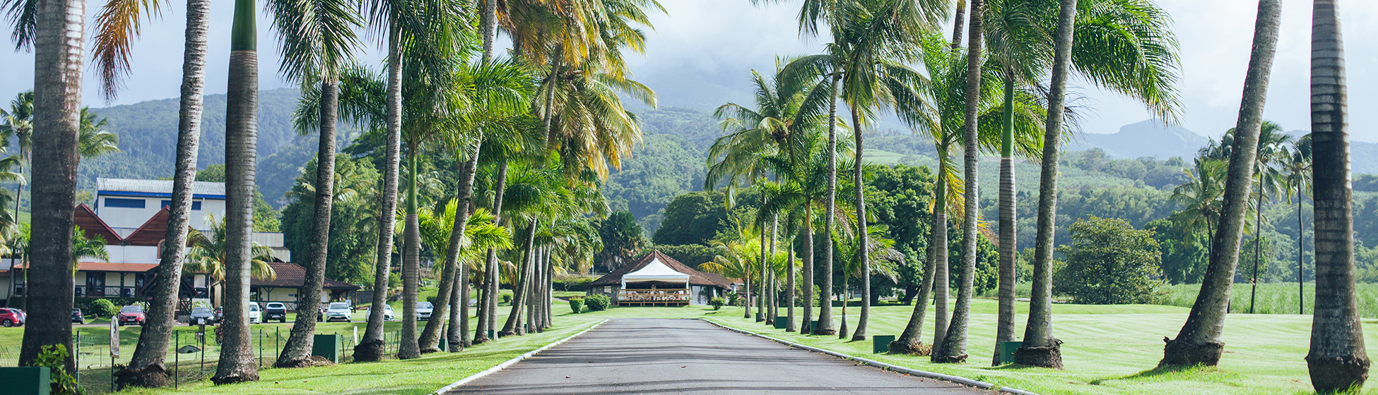 Location véhicule particulier particulier martinique