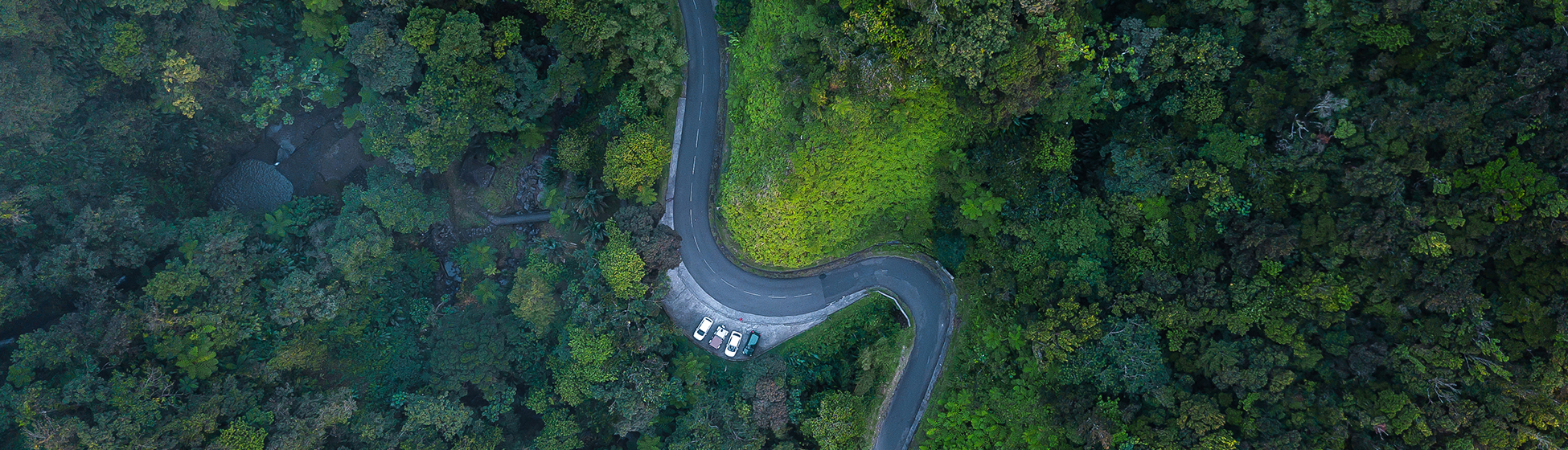 Location voiture sans permis martinique