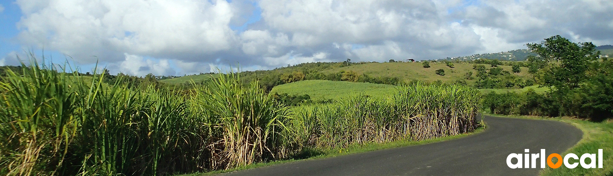 Location voiture martinique alwego