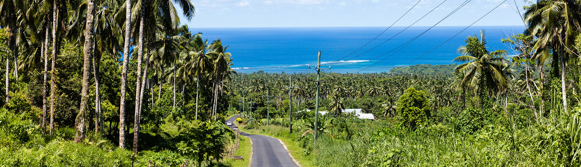 Aloelocation martinique