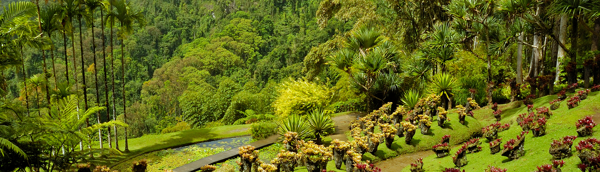 Espaces culturels martinique