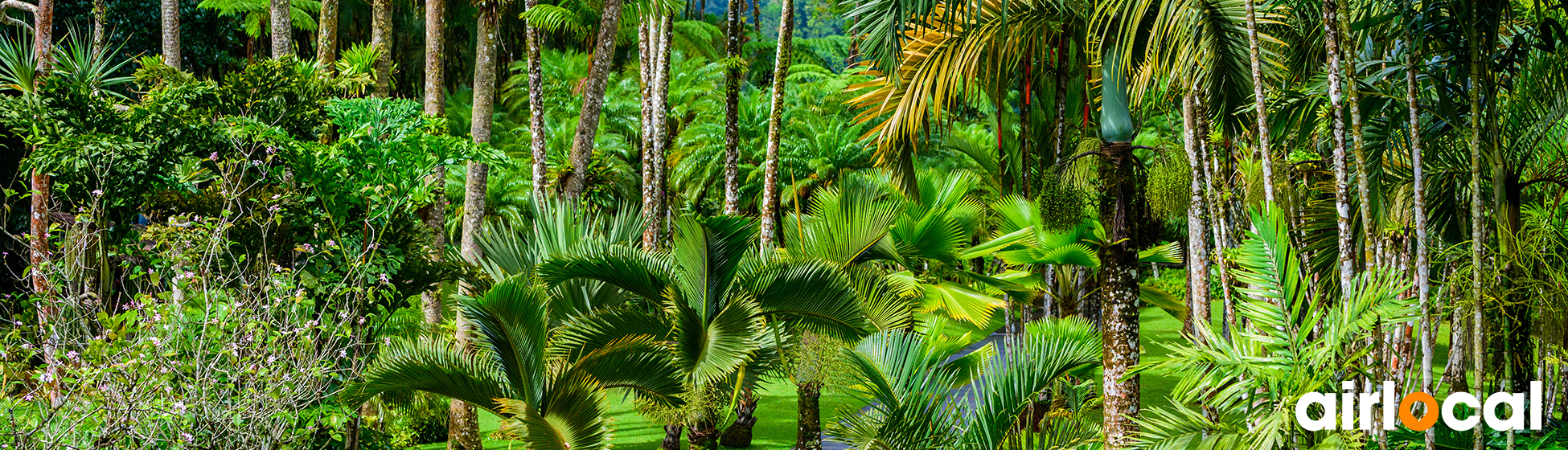 Musée martinique