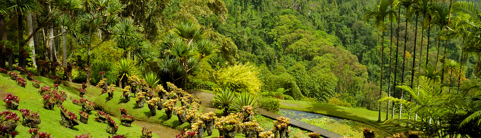 Espaces culturels martinique