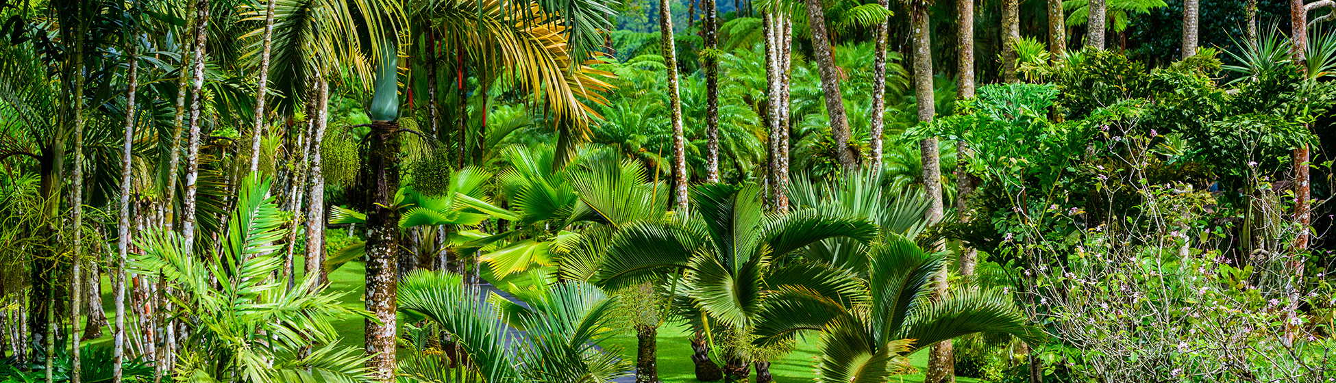 Espaces culturels martinique