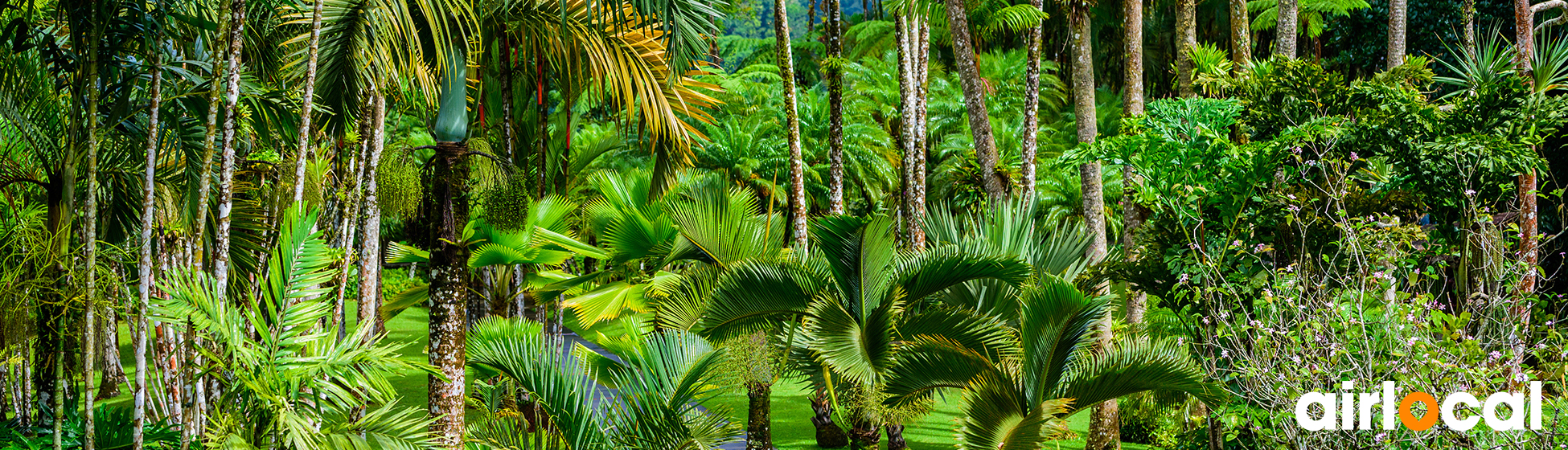 Espaces culturels martinique