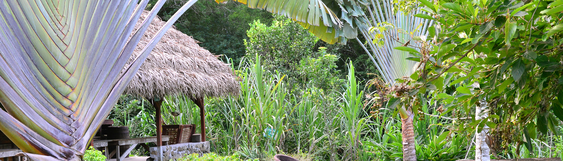 Monuments martinique