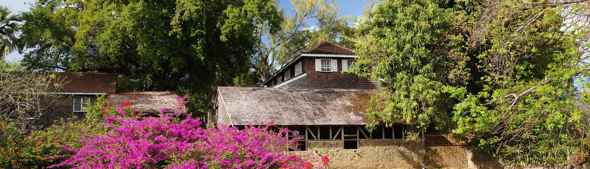 Musée martinique