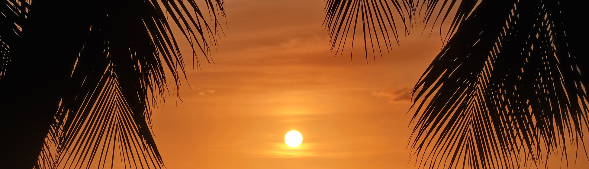 Meteo tartane martinique