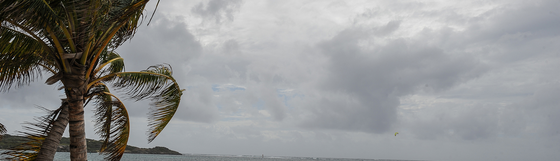 Température martinique juillet