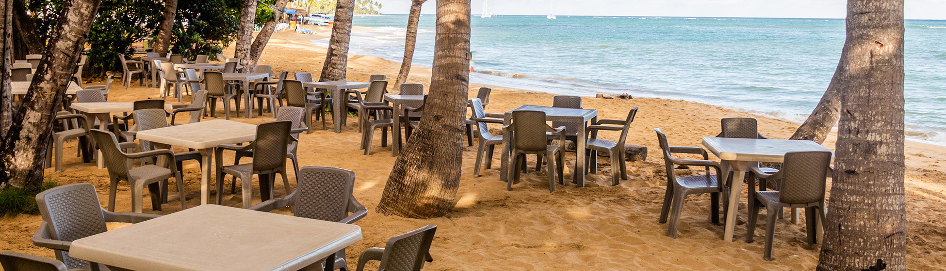 Restaurant avec terrasse martinique