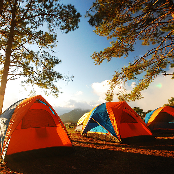 Camping municipal martinique