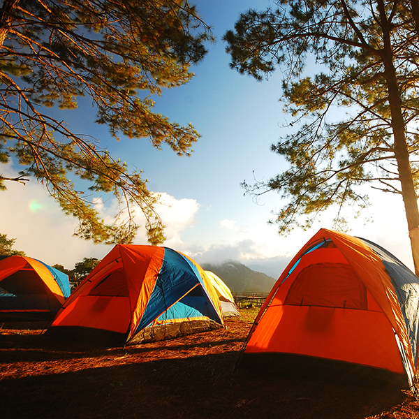 Camping bungalow martinique