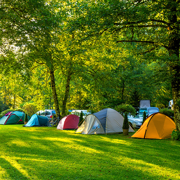 Camping municipal martinique