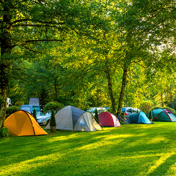 Camping municipal martinique