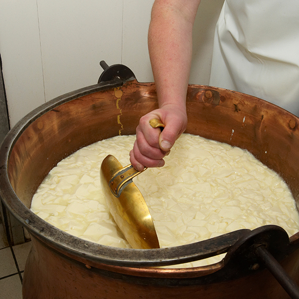 Fromagerie martinique