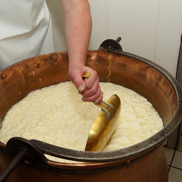 Fromagerie martinique