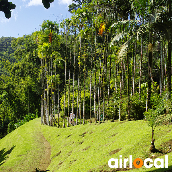 Sortie nature martinique