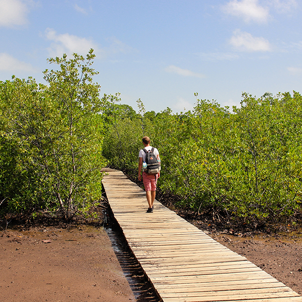 Parc national martinique