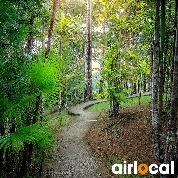 Jardin botanique martinique