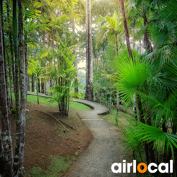 Jardin botanique martinique