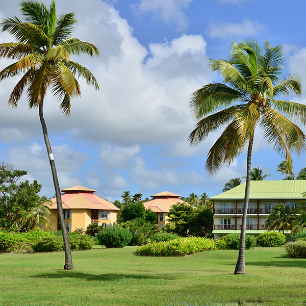 Parc national martinique