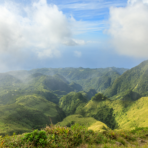 Parc national martinique