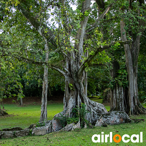 Parc national martinique