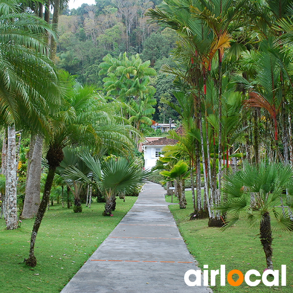 Jardin botanique martinique