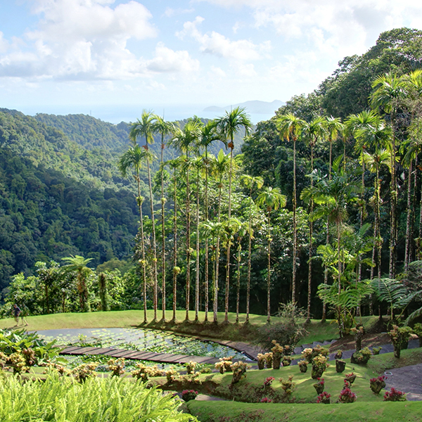 Parc national martinique