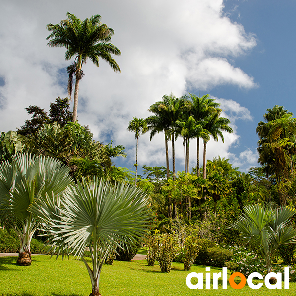 Jardin botanique martinique