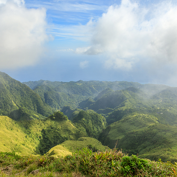 Sortie nature martinique