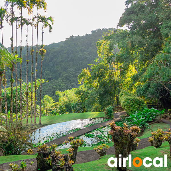 Parc national martinique