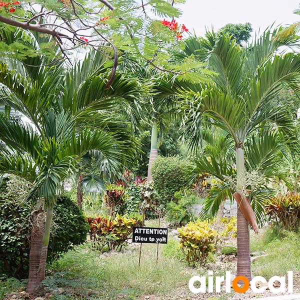 Jardin botanique martinique